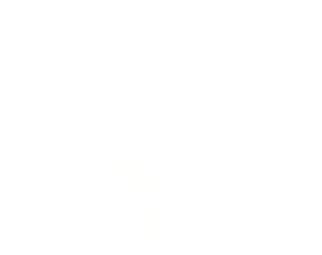 Contenterstellung für Weingut Zehn Morgen Logo Weingut Zehn Morgen