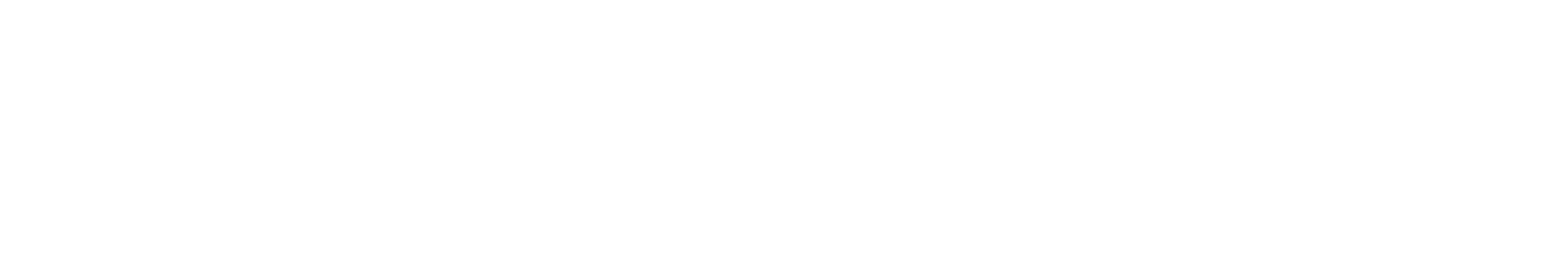 Premium Leaders Club - Die führende Business Community für Entscheider Premium Leaders Club Logo